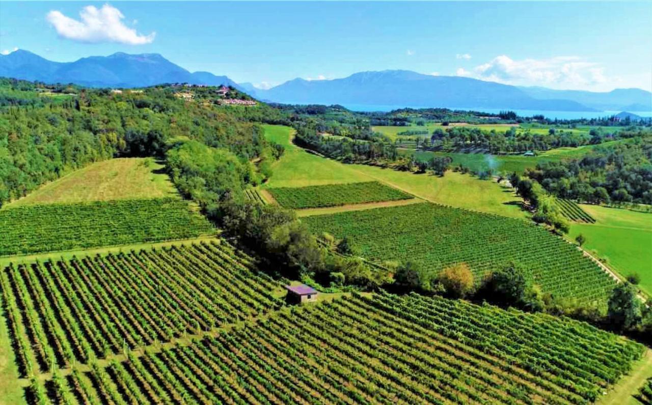 Agriturismo La Guarda Picedo Exterior foto